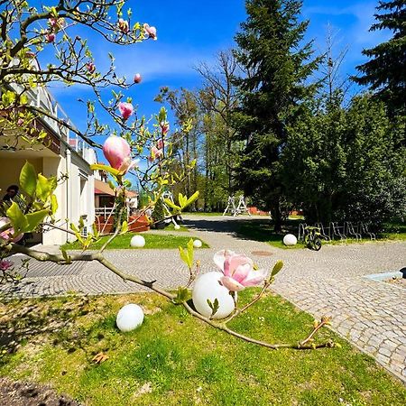 Szafirowy Dwor Hotel & Restauracja Gliwice Eksteriør bilde